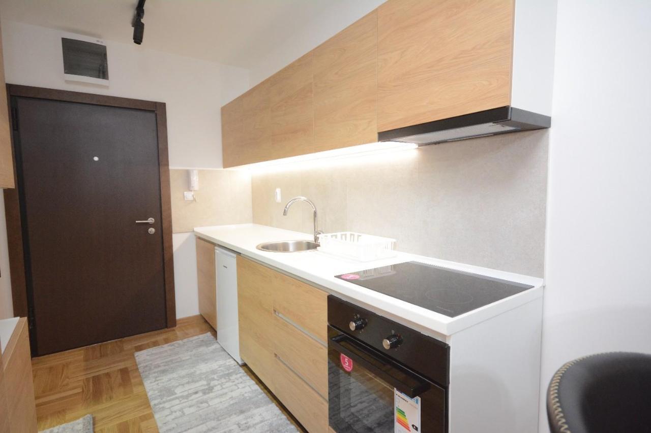 Cvetkovic Lux Аpartmani & Free Garaza Appartement Vrnjačka Banja Buitenkant foto