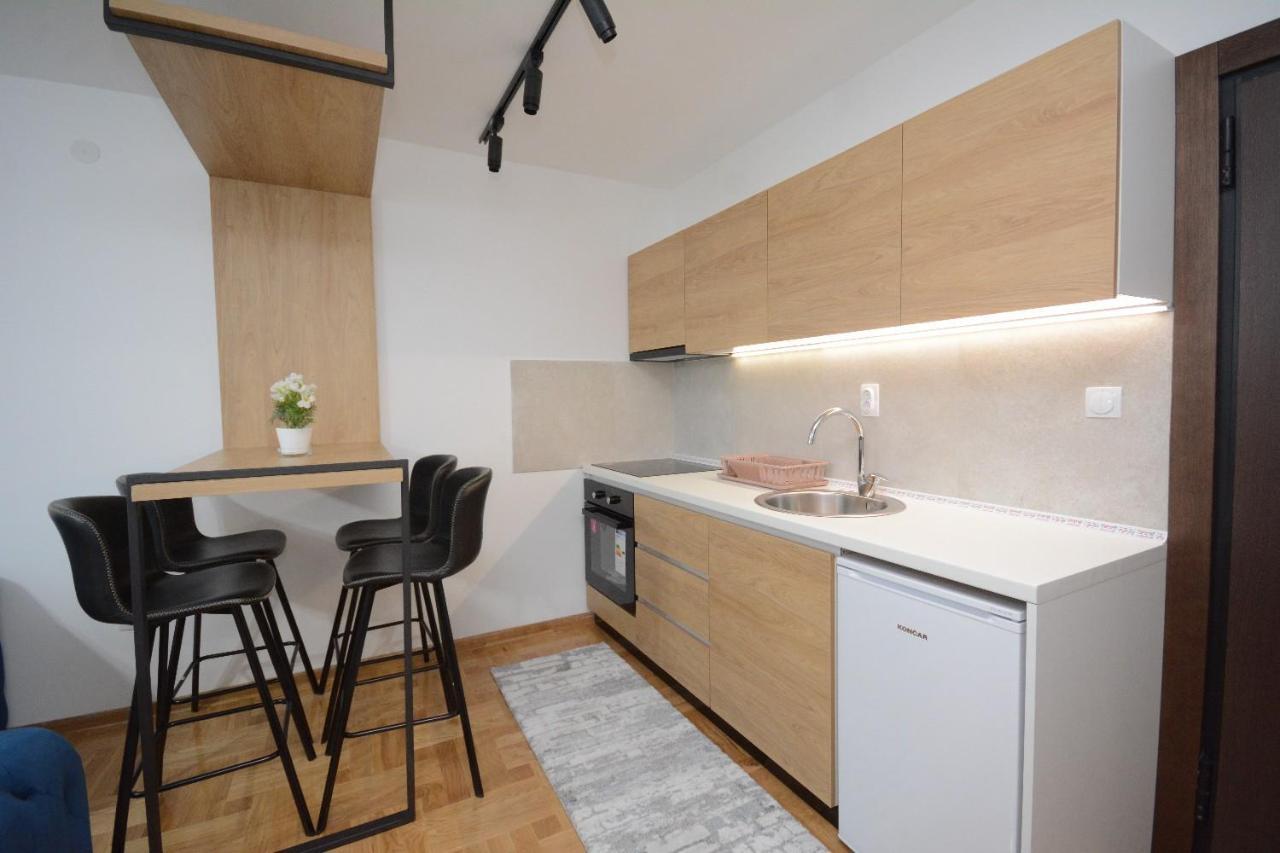 Cvetkovic Lux Аpartmani & Free Garaza Appartement Vrnjačka Banja Buitenkant foto